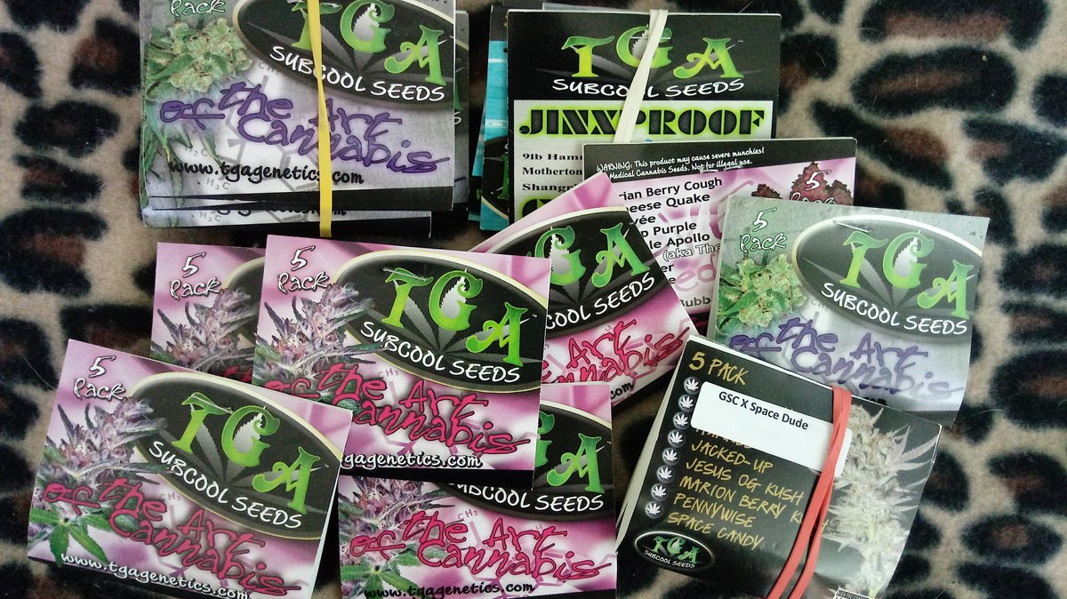 seed_dank's tweet photo. 🔥 🔥 Fire Alarm 🔥 🔥
TGA drop is live at HDSC (5) Regular seeds per pack 
#cherrygasm #cookiepuss #cheesequake #dairy queen #gscxspacedude #jackskellington #jackscleaner #querkle #qrazytrain and more...

https://t.co/GLLyrou0k4 https://t.co/XCqaYK2ZhS