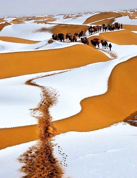 "look deep into #nature, and then you will #understand everything better" Albert Einstein