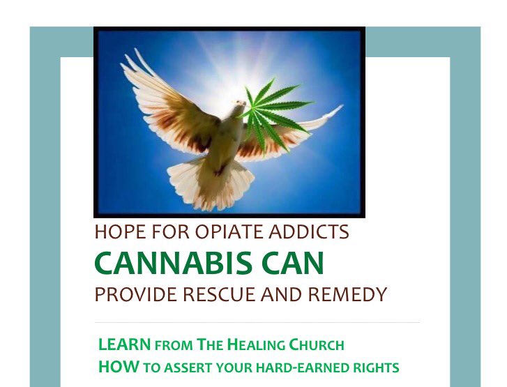 AvengingAnnieRI's tweet photo. @NBC10_Tony @SenWhitehouse yes! Cannabis saves lives. Growing one's own healthy plants restores hope day by day. DESCHEDULE cannabis today and HEAL the opiate crisis from Burriville to Baton Rouge! Cannabis is good for everyone, and equal access for all will restore American greatness. https://t.co/ZXydQZ95XO