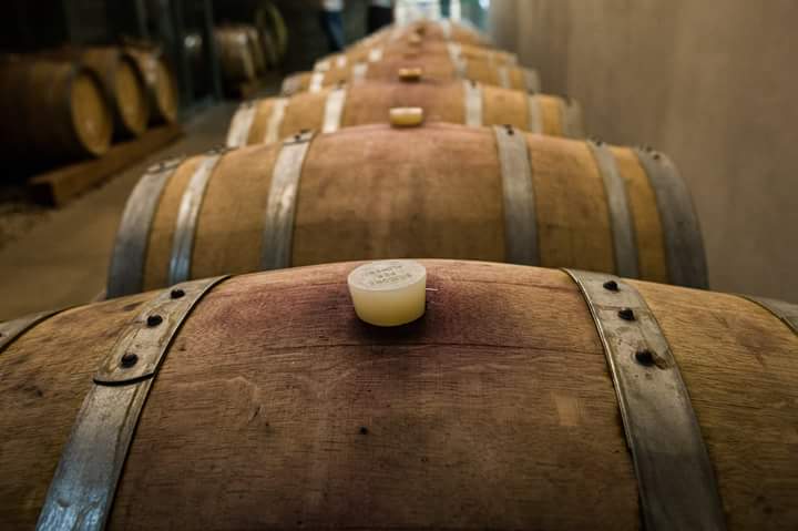 Aglianico Experience #aglianico #experience #wine #irpinia #cellar #winery #paternopoli #winetasting <a href="/BorgoBarbassano/">Borgo Barbassano®</a>