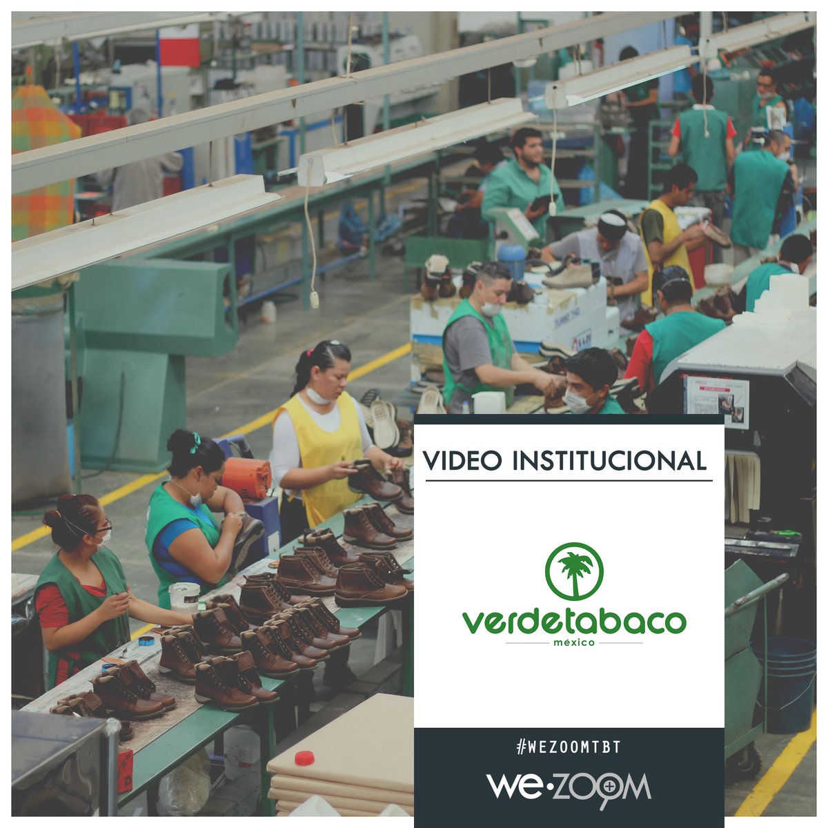 WeZoomMX's tweet photo. Compartimos con ustedes el video institucional de Verde Tabaco, orgullosamente un empresa guanajuatense. https://t.co/UjGuzrhz1o
#WeZoomTBT https://t.co/WDqjygAlDT