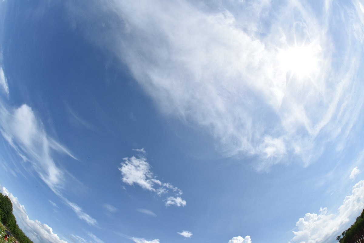 この広い空の下で