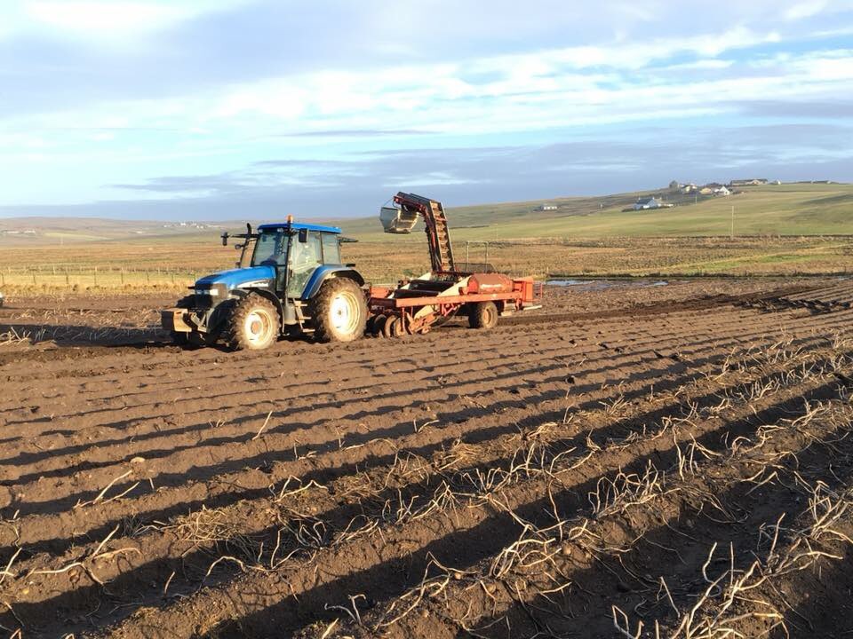 Brake_Farm's tweet photo. Perfect weather today so lifting the last of the tatties, another good day should see us finished. It’s been so wet since October that we had to stop. https://t.co/cToPPqjFxy