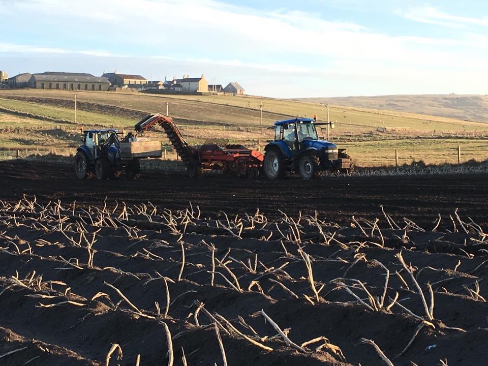 Brake_Farm's tweet photo. Perfect weather today so lifting the last of the tatties, another good day should see us finished. It’s been so wet since October that we had to stop. https://t.co/cToPPqjFxy