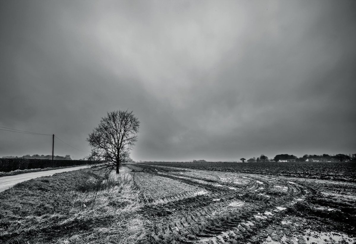 _Blake_Baker's tweet image. After the winter harvest #NorfolkPhotograohy #Norfolk