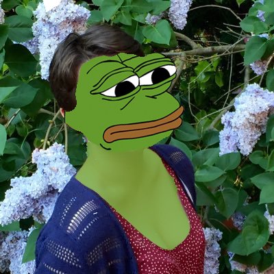 GomiTahen's tweet photo. Rip your communist regime @MillsSenator https://t.co/DFvy2nktIO