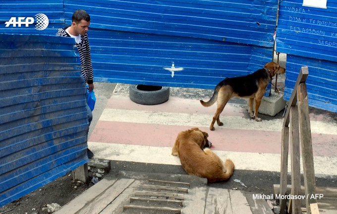 Bild auf Twitter anzeigen