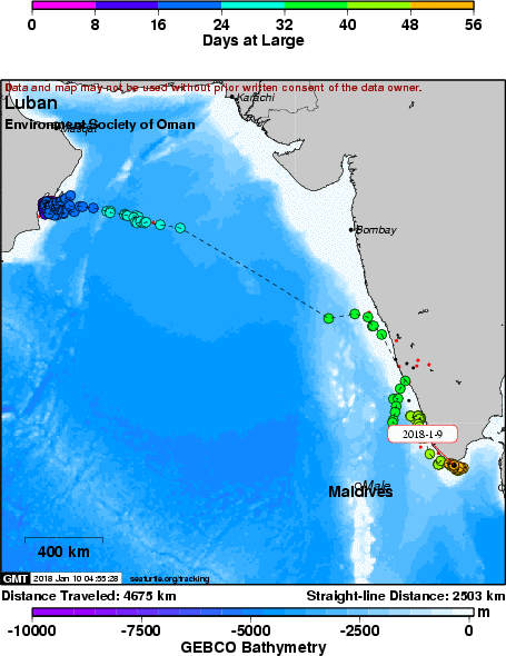 okiewhaler's tweet photo. Seriously @ashadevos Keep your eyes peeled, the female #ArabianSea #Humpback #whale we tagged is getting close!! Tag has been transmitting for 8 weeks!! #BeautifulData https://t.co/qlQatsCUF6 | Re: @GrumpyHumpback #SorryNotSorry https://t.co/O0uQTyoyXz