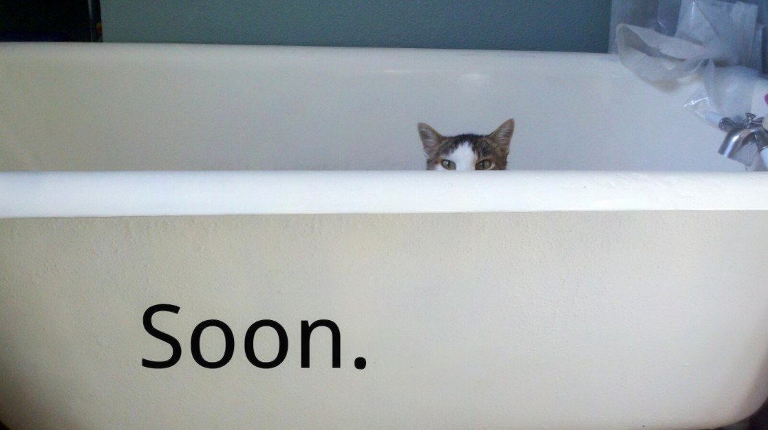 Видео коты в ванне. Soon Мем. Мемы в ванной. Кот в ванной Мем. Кот soon.