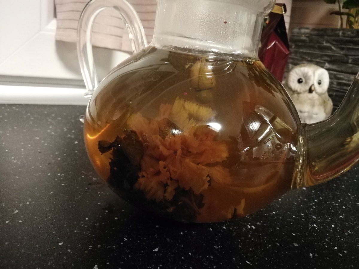 LordSerpin's tweet photo. Zum gute nacht sagen noch diese hübsche #Teeblume . Fast hätte ich sie vergessen zu zeigen :D
Das war die bisher schmackhafteste von ihnen 💕✨
#IchliebeTee https://t.co/UYGzQ27thv