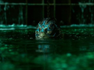 RealGDT's tweet image. Mañana... en todos los cines de México.