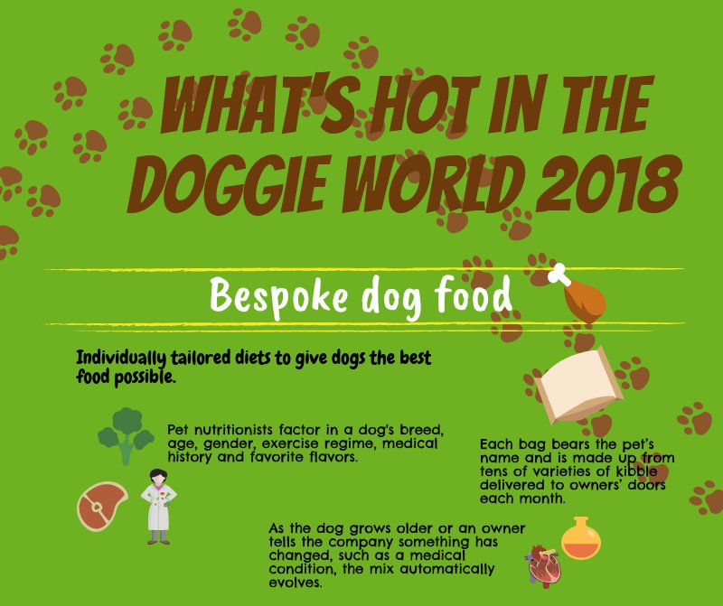 KoolSkinz's tweet photo. Here are 4 #doggy trends projected to take off in 2018. Do any of them surprise you? Are you noticing other dog trends you think will become hot this year? If so, let us know in the comments! #dogsoftwitter #trends2018 #goGreen #naturaldog #koolskinz #pamperedpups #organic #fresh https://t.co/LfUsyIAGtz