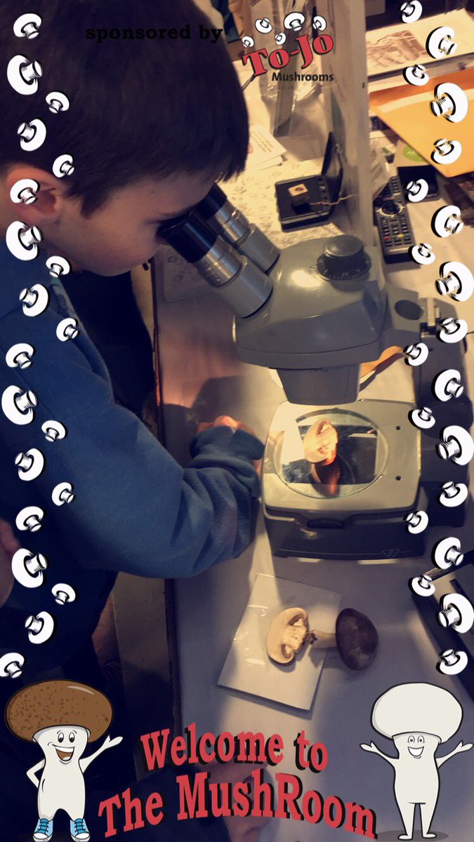 AbbsMcKay's tweet photo. I had such a great time helping to chaperone these students at the Harrisburg Farm Show today!! We found STEM in agriculture everywhere!!
@JanemarieMckay 
#AgIsSTEM #gmsdSTEM https://t.co/sN41JJsS5g