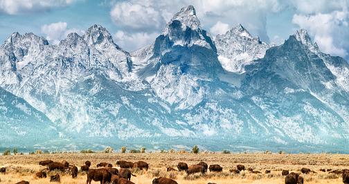 AuntElaines's tweet photo. These are the dates to visit the @NatlParkService for Free in 2018! Also available in the @CoziFamily app.#promotion - https://t.co/z0mwASpiYr https://t.co/SpfDLBZq4L