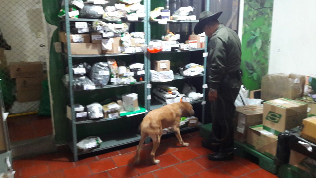 PoliciaDEMAM's tweet photo. El grupo @CarabinerosCol en compañía de la canina 🐶 #Dashua realizan planes de prevención y control en contra del trafico de estupefacientes en las principales empresas de mensajería, cargas, encomiendas y terminales de transportes #PorUnaBarrancabermejaSeguraYEnPAz https://t.co/HEqFNET0NC
