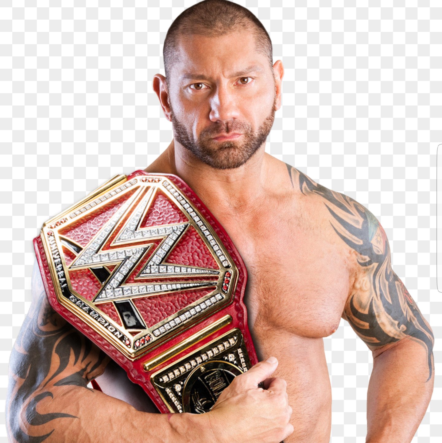Батиста Рестлер WWE
