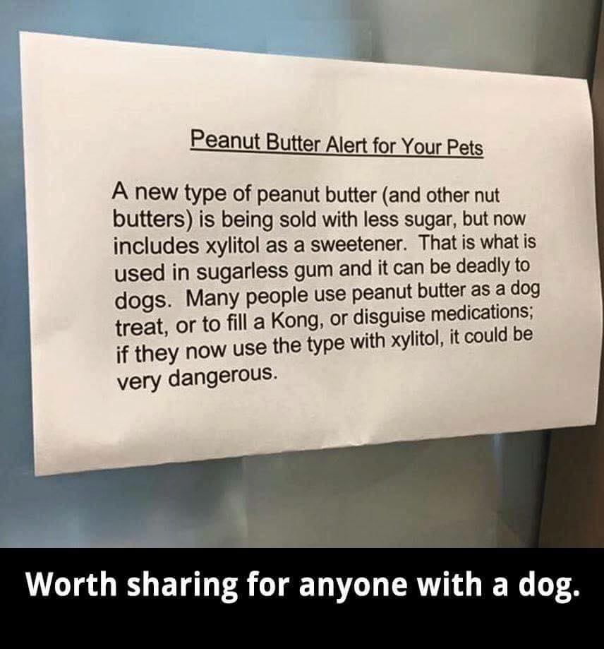 Please share... #Dogs #DogsOfTwitter
