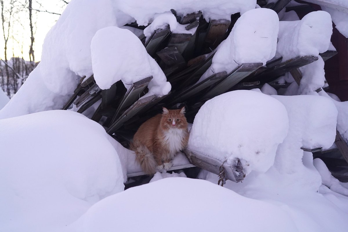 I think it is time to do something about this white stuff