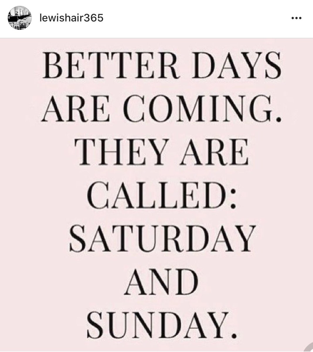 Waterfront Studios tweet media