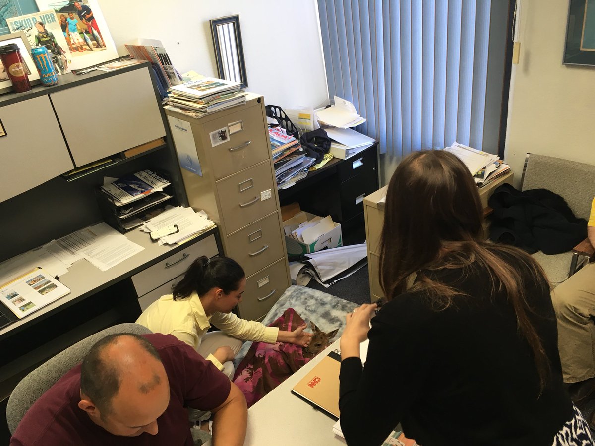 Gilbert Associates tweet media