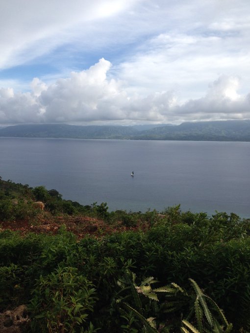 View image on Twitter