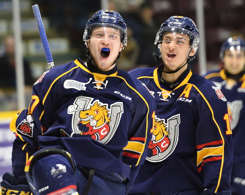 Barrie Colts tweet media