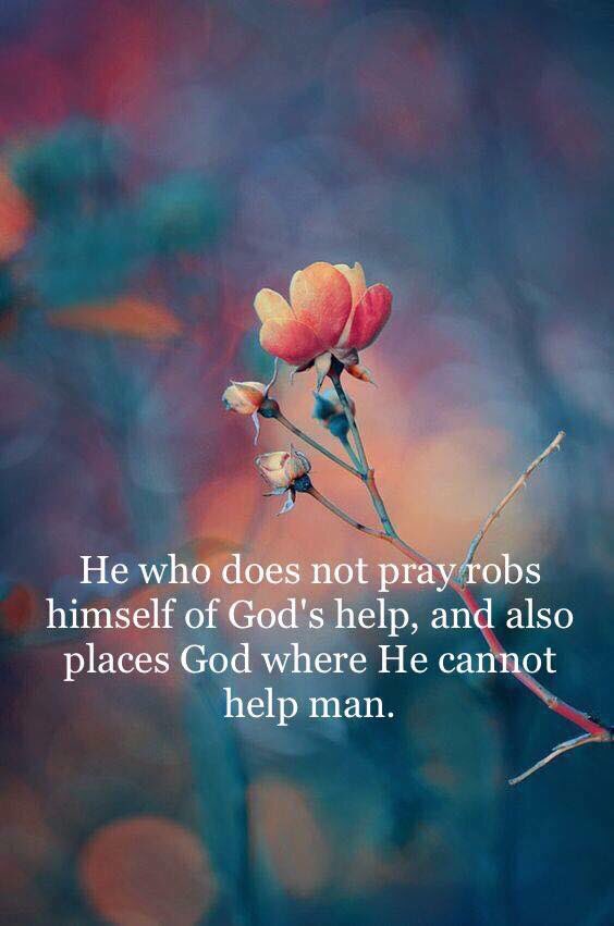 Wayne Biehn (@warrior4king) on Twitter photo 