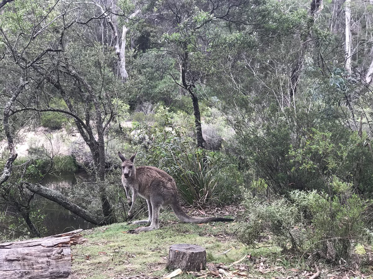 Gordon_R_Ramsay's tweet image. The region around Canberra has some fantastic camping sites. I loved spending time at one of my favourites again this year.