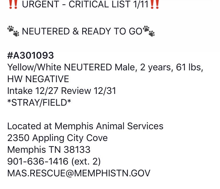 reddogsusie's tweet photo. #TN #MEMPHIS
🆘🆘CRITICAL 2yo male hw- waits patiently for a hero to come & save his life! Just needs a good home! Pls #ADOPT #RESCUE #FOSTER #PLEDGE SHELTER FULL - PLS HELP🙏🏻
https://t.co/tUx0rR3WMB https://t.co/7OUOLw4Tnb