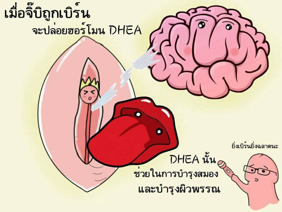 OrichonNuttanon's tweet photo. รู้สึกฉลาดขึ้นทุกวัน https://t.co/8SCX2WoTQB