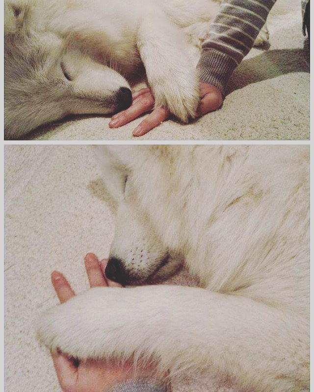 Holding hands.