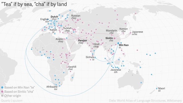 AmericanGeo's tweet photo. “Tea” if by sea. “Chai” if by land.  How words spread. #geography #linguistics #aphg https://t.co/EzjXAZ0hxh https://t.co/FF2WVXsgNg