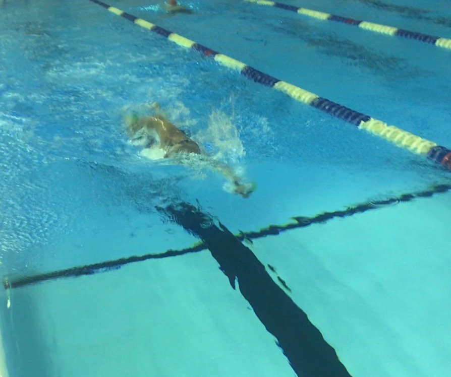 Improve your triathlon performance w Total Body Force swim coaching. Available in Calgary <a href="/TrisuttoHQ/">Trisutto Coaching</a>. More details bit.ly/2j1ogCl