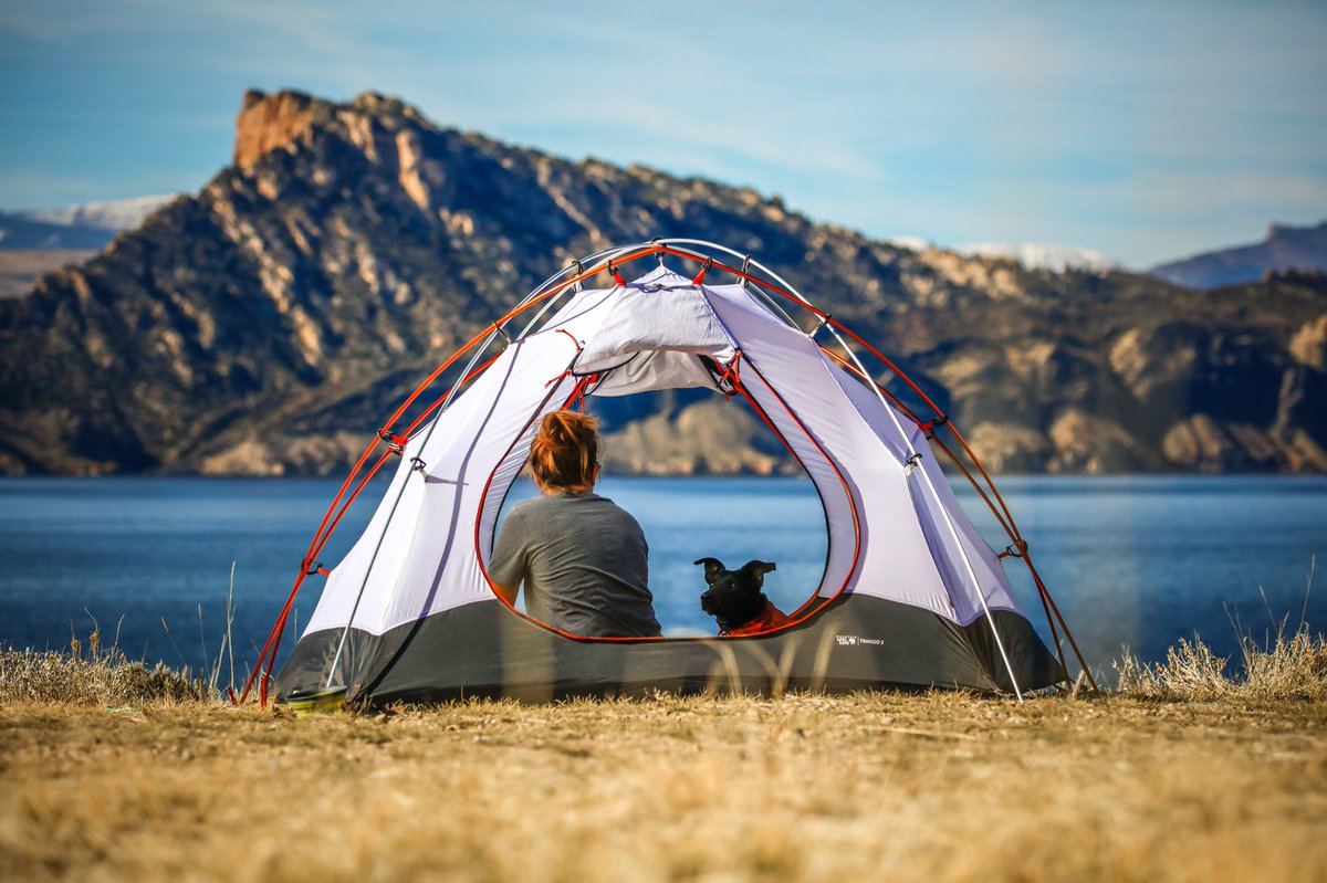 backwoods_bros's tweet photo. Woof woof🐶 Who else loves camping with their pet? https://t.co/rImZnXj5l1