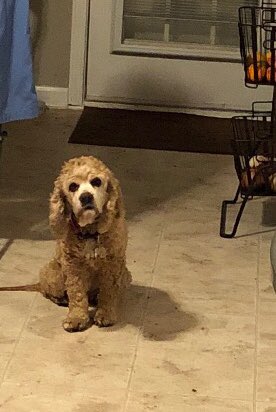 LibbsLife's tweet image. At my boy &amp;amp; Miss Kristi ‘s House. I think they forgot somethin.... it’s called MY TREAT! @DamageContrl @chasinglight @SaraLizzy