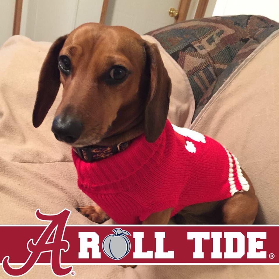 vivstermc93's tweet image. #rolltide @JalenHurts @Tuaamann_  #1fan