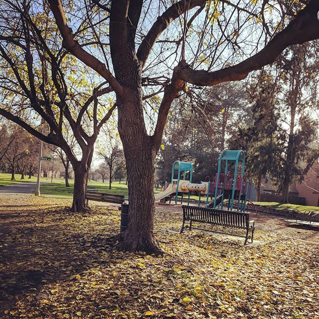 bennreading's tweet photo. 🎶 I can see clearly now the rain is gone 🎶 .
.
.
.
@52hikechallenge #52hikechallenge #52hikechallenge2018 #52hikechallengeyolo #theyoloway #hike1 #suburbanhike #johnnynash https://t.co/T3eoZ0JXyJ https://t.co/anGpDo0i6w