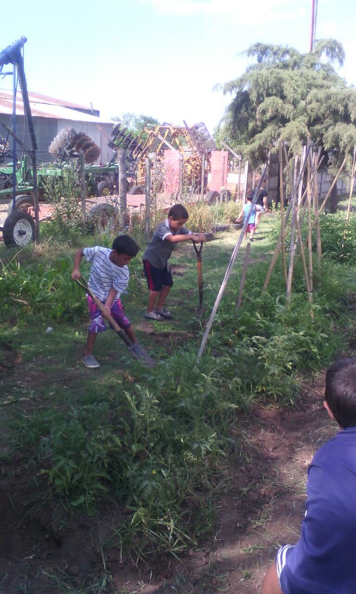 Analia_Castro's tweet photo. Los niños que asisten al Programa Escuelas Abiertas de Verano en #Suipacha realizan el mantenimiento a la Huerta que funciona durante el año en la Escuela. Excelente Trabajo en equipo ! @BAeducacion @awfederico @PSuipacha https://t.co/ztlCvYSiRe
