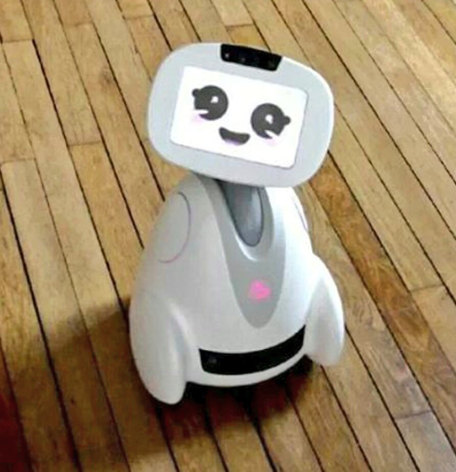 kulkarniuttara's tweet image. Awwh😍
BUDDY you&apos;re so cute.
I want you!!!!!!!!!
#Buddy #buddyrobot #mybuddy