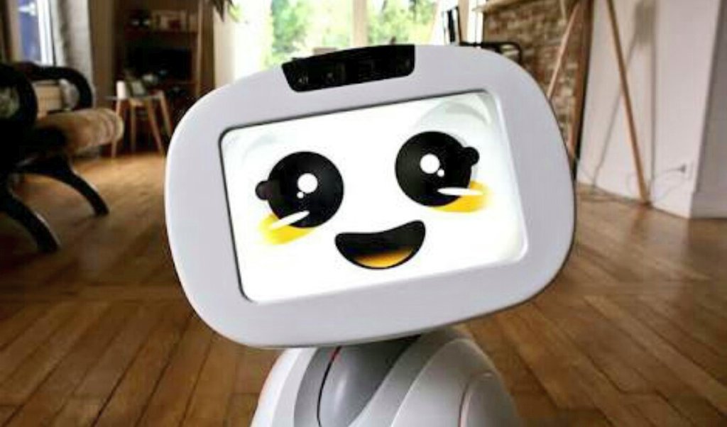 kulkarniuttara's tweet image. Awwh😍
BUDDY you&apos;re so cute.
I want you!!!!!!!!!
#Buddy #buddyrobot #mybuddy