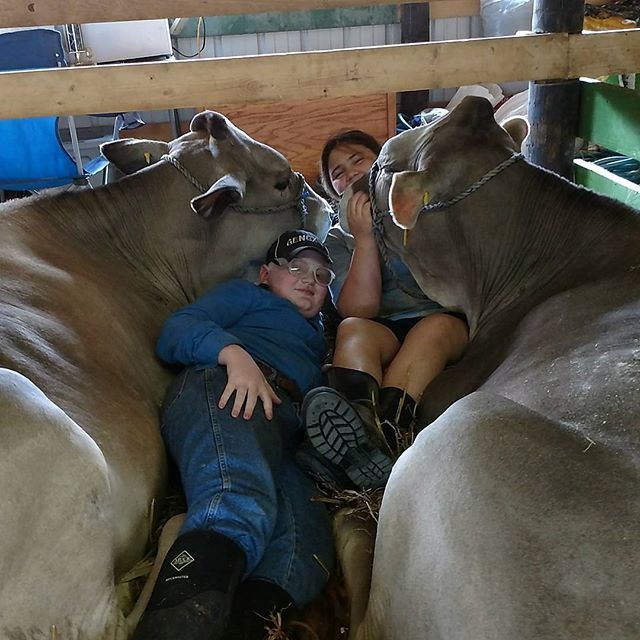 OntarioFair's tweet photo. Happy National Milk day! Hug your cows today!! #ontariocountyfair #nationalmilkday https://t.co/Fcz26fk3gL