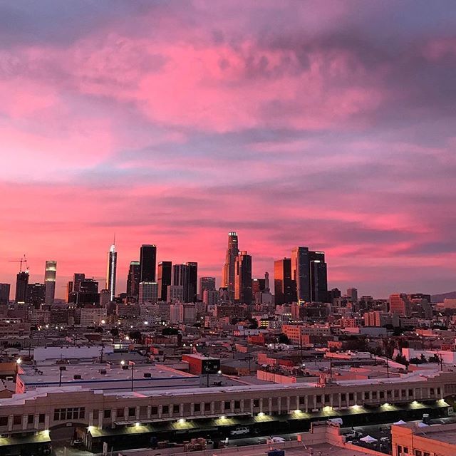 ROWDTLA (@rowdtla) on Twitter photo Good night, Los Angeles! 📸: @ronnyrock ift.tt/2muuvA3 Good night, Los Angeles! 📸: @ronnyrock ift.tt/2muuvA3