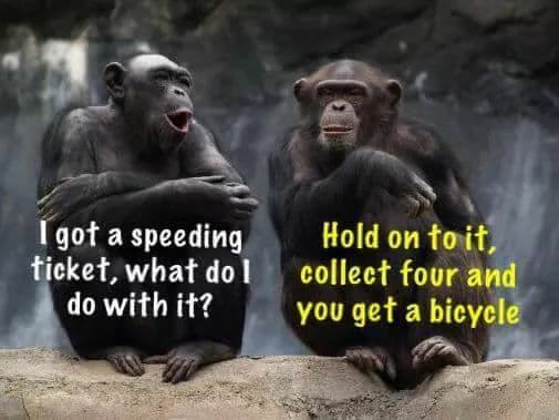 scith76's tweet image. 