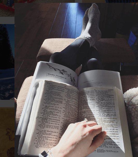 Muffin_Dome's tweet photo. Books I Read in 2017 and Books to Read in 2018 https://t.co/8Ztfu92mlZ https://t.co/KveePaxZcd