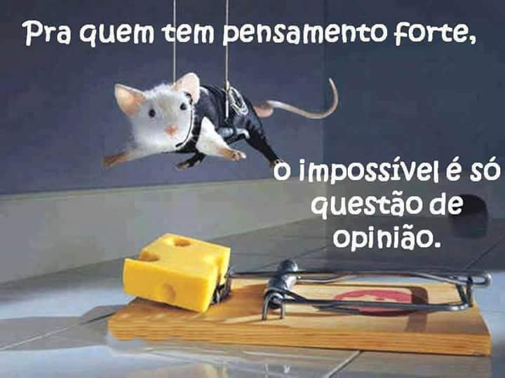 valmir ambrosio (@ambrosiovalmir) on Twitter photo 