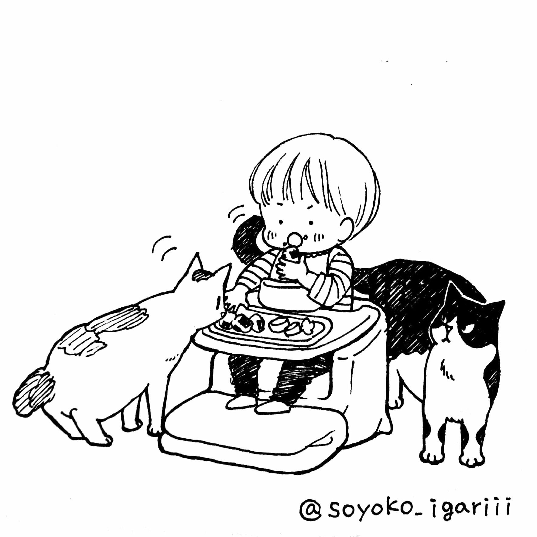 猪狩そよ子 短編集2巻4 1配信開始 先日の猫と息子のイラスト にたくさんのいいねありがとうございました 普段は遠巻きに見てる猫達ですが 息子が食事中で自由に動けない時はぐいぐい近づいてきます もうとにかく可愛いです 猫とむすこ その3 T