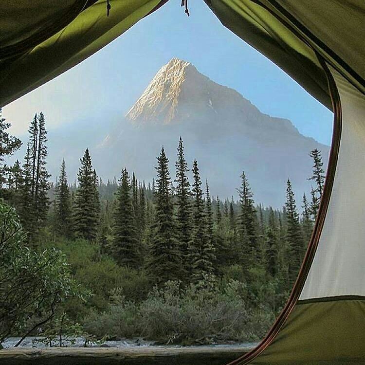 SouthernManner_'s tweet photo. If you love the Outdoors, you are in the right place!🎍
#traveling #happy https://t.co/Ls9qNsn0Lf