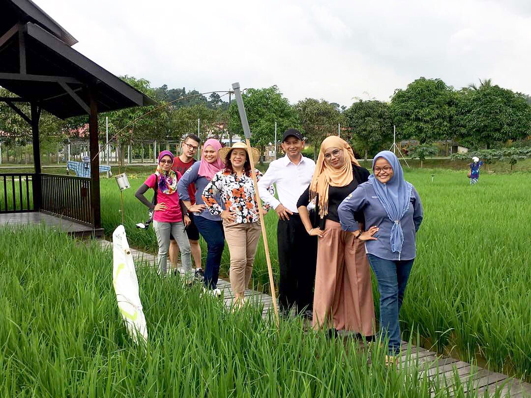 maepsserdang's tweet photo. View sawah padi cantik macam ni ingatkan jauhhh nun di Kedah Perlis sana.... Rupanya di Maeps pun ada Sawah Padi.. Mari datang MAEPS macam macam ada di sini.. 

#MOA #MARDI #MARDICorp #Maepsserdang #Maepsagrotourism  #planyourevent #ourfoodourfuture #Thelargestagrotourismpark https://t.co/QR17o50fqa