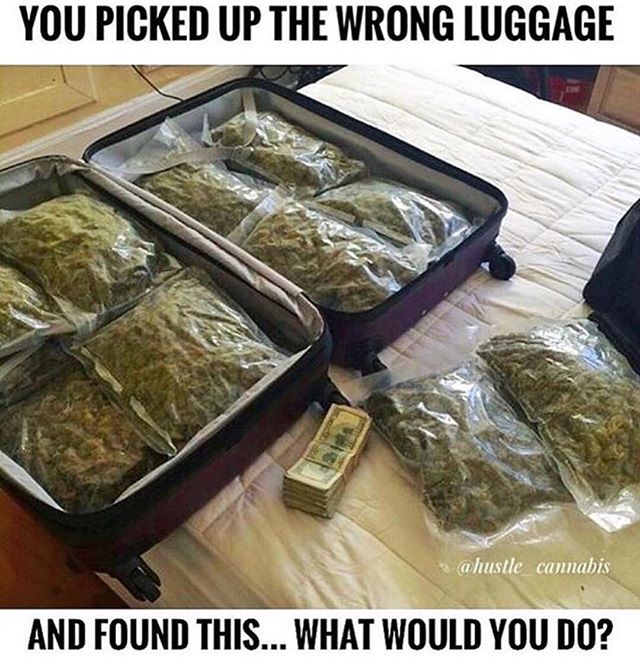 WeedAuthority_'s tweet photo. I would head right home and organize this amazing 7 day supply of personal cannabis...
-
#dabstagram #weedcommunity #420life #weedsociety #stayhigh #kusharmy #fueldbythc #instaweed #cannabiscommunity #weedstagram #cannabis #dabrat #funny #hilarious #cannabiscrew #420crew https://t.co/mmLNrLNx4f