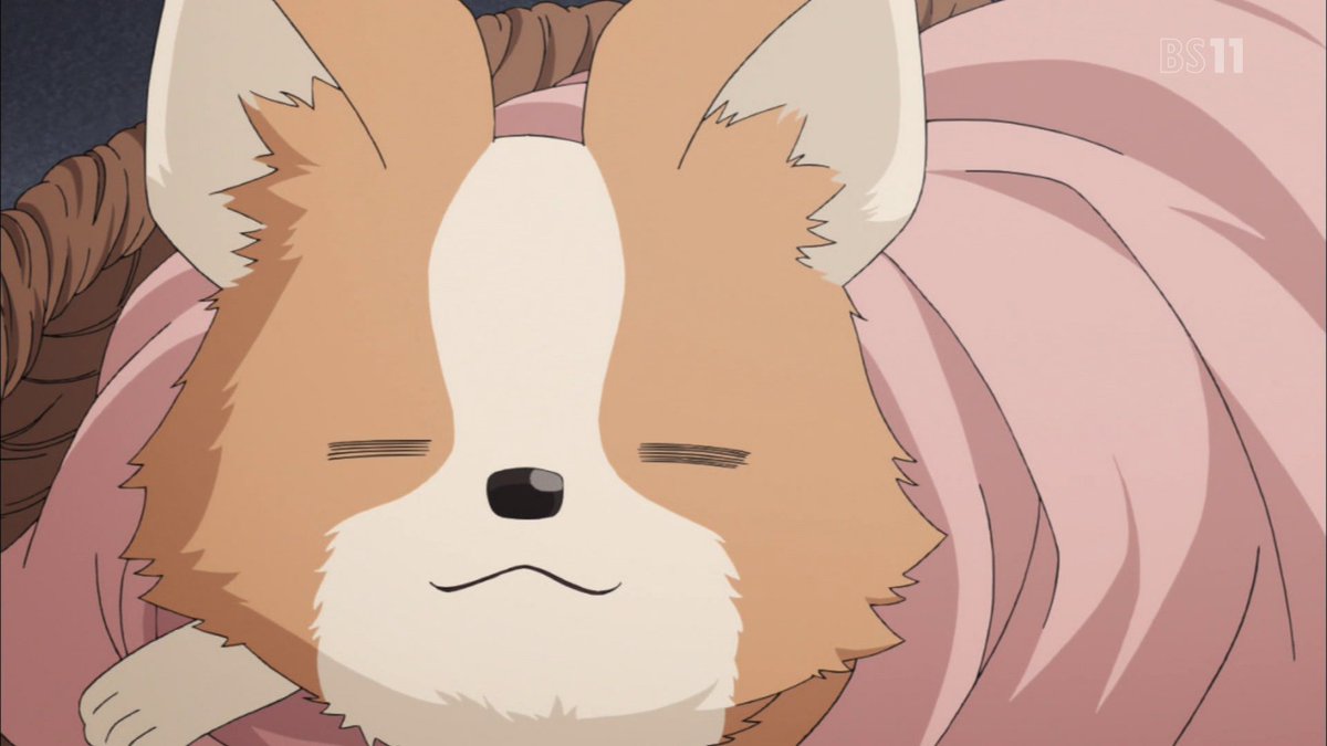 ⭐︎ちくわ⭐︎ 二代目ちくわ〜Chikuwa (@2nd_chikuwa) / Posts / X